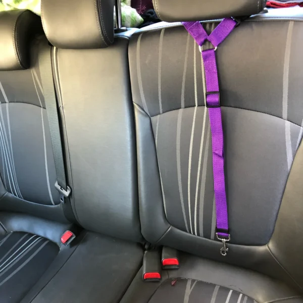 Cinto de Segurança para Cães com Ajuste para Diversos Tamanhos. - Image 2