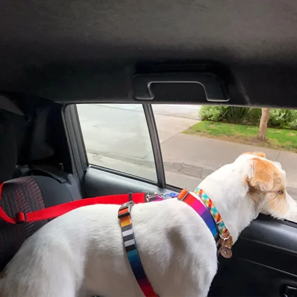 Cinto de Segurança para Cães com Ajuste para Diversos Tamanhos. - Image 4
