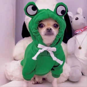 Moletons com Estampas de Sapo Fofos para Cães Pequenos