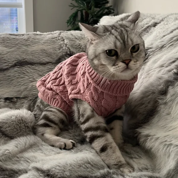 Roupas De Tricot para cães pequenos, Blusas quentes de inverno para Cães e Gatos de Pequeno Porte - Image 2