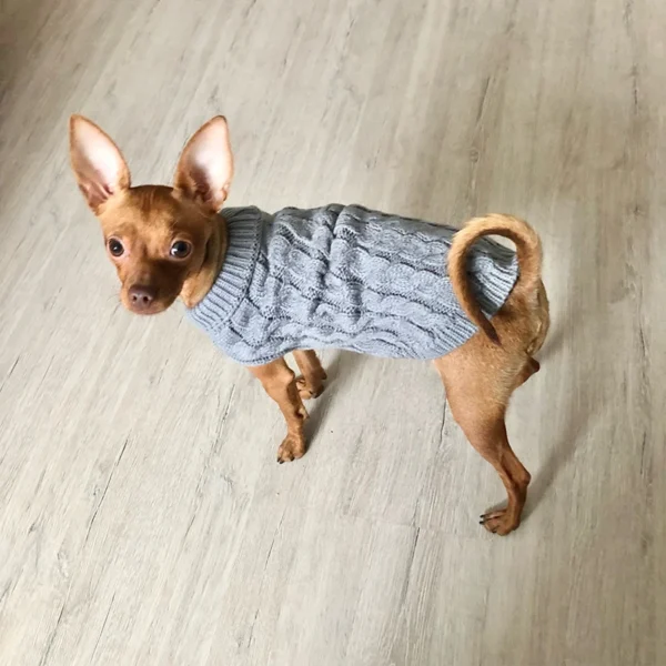 Roupas De Tricot para cães pequenos, Blusas quentes de inverno para Cães e Gatos de Pequeno Porte - Image 3