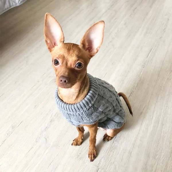 Roupas De Tricot para cães pequenos, Blusas quentes de inverno para Cães e Gatos de Pequeno Porte - Image 4