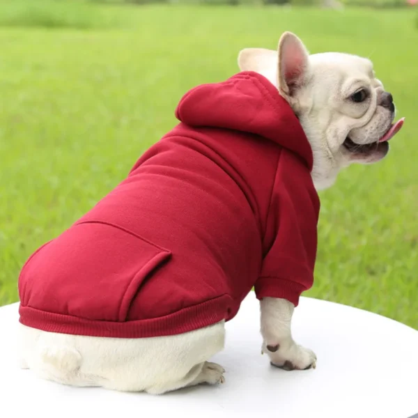 Moleton quente com bolsos para Pets - Excelente para deixar seu Pet Quentinho no Inverno - Image 6